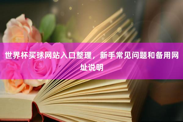 世界杯买球网站入口整理，新手常见问题和备用网址说明