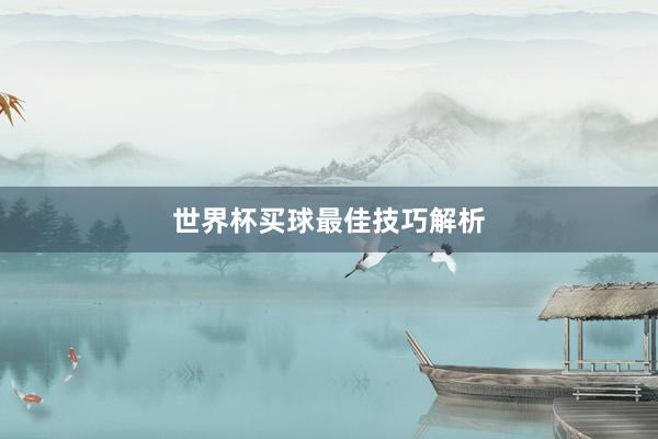 世界杯买球最佳技巧解析